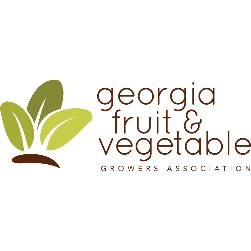 GFVGA